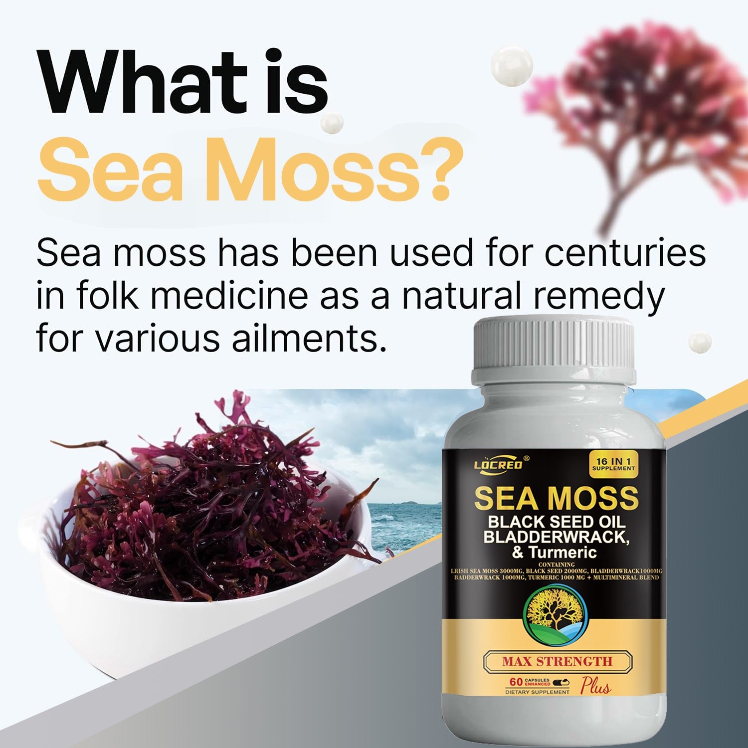 Sea Moss & Black Seed Oil Supplement – 16-in-1 Superfood Blend for Energy, Joints & Immunity 60 Capsules